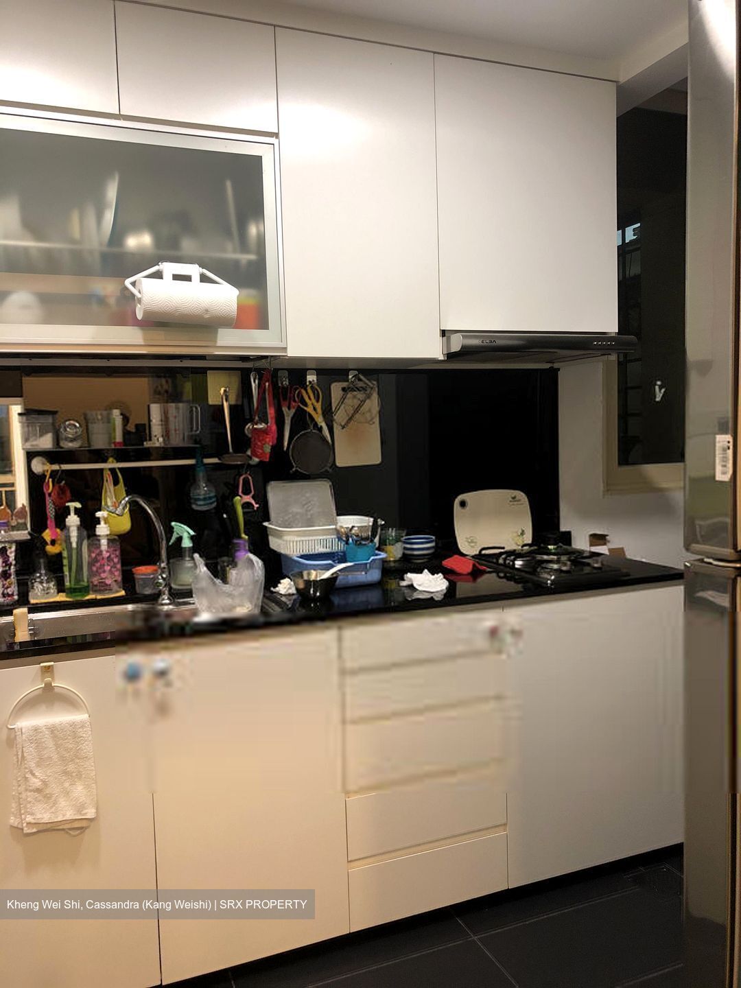 Astoria Park (D14), Condominium #576116731